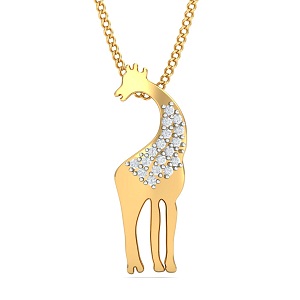 Animal Collection